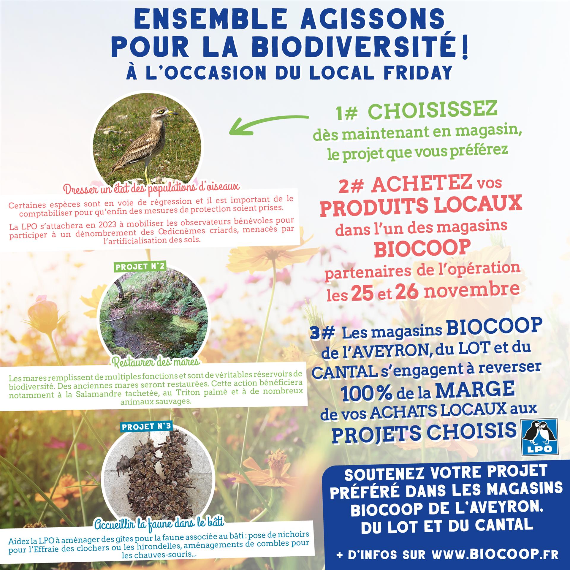 Local Friday : ensemble, agissons pour la biodiversité !