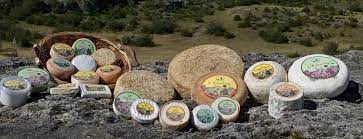Coopérative fromagère LES BERGERS DU LARZAC Coopérative fromagère LES BERGERS DU LARZAC