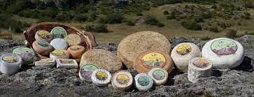 Coopérative fromagère LES BERGERS DU LARZAC