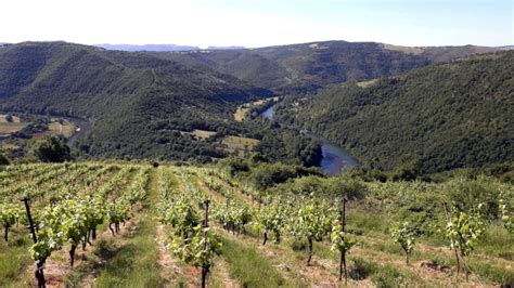 DOMAINE BERTAU