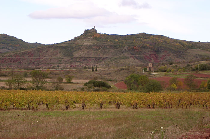 Domaine de Malavieille Domaine de Malavieille