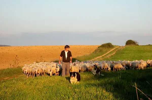 La ferme d'Alcas